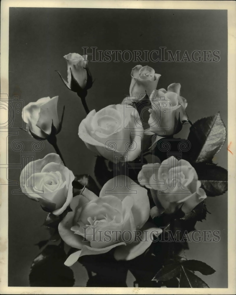 1963 Press Photo Saratoga- Historic Images