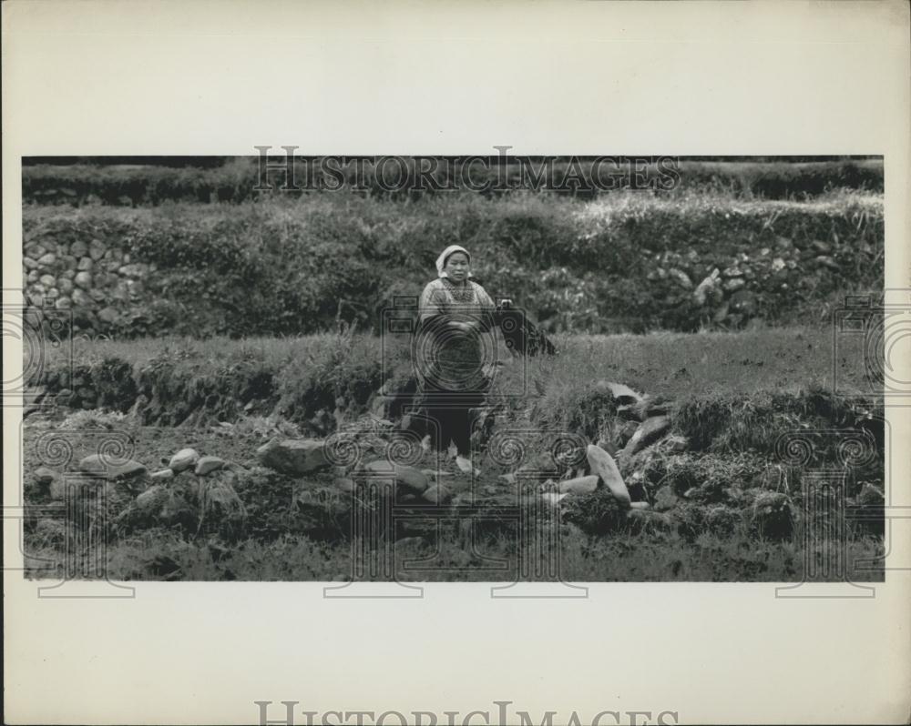 Press Photo Woman Farming In Yamano Japan - Historic Images