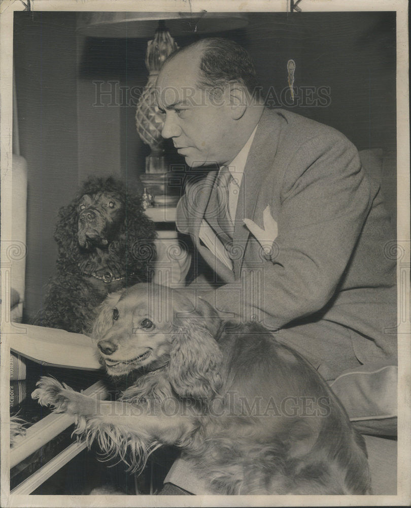 1950 Press Photo Atty William H Murphy and his coker spaniel - Historic Images