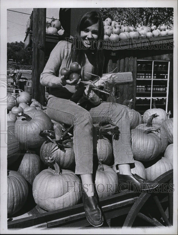 Nancy Lawson Coming of fall comes corn apples pumpkins 1967 Vintage ...