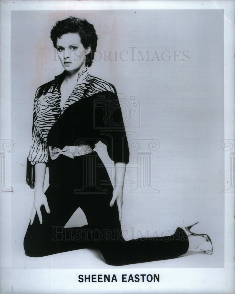 1985 Press Photo Sheena Easton Recording Artist - DFPD01631- Historic Images