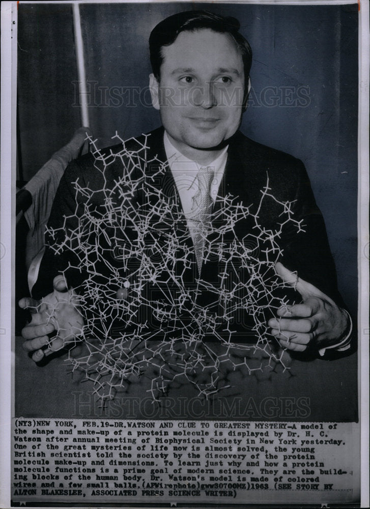 1963 Press Photo Dr. H. C Watson protein molecule model- Historic Images