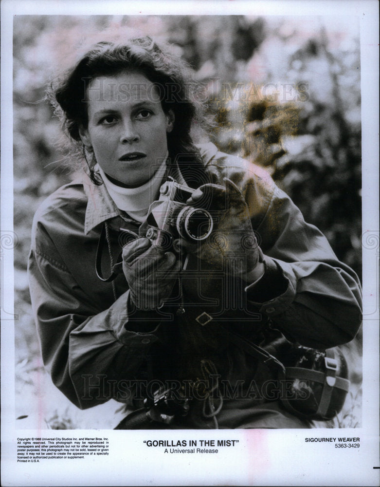 1988 Press Photo Sigourney Weaver Gorillas in the Mist - DFPD23269- Historic Images