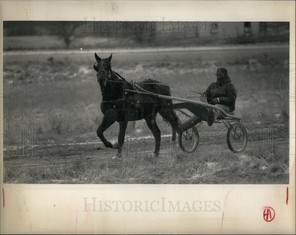 1989 Press Photo Tim Buttler Horses Riding Go Blue Stab - DFPD73709- Historic Images