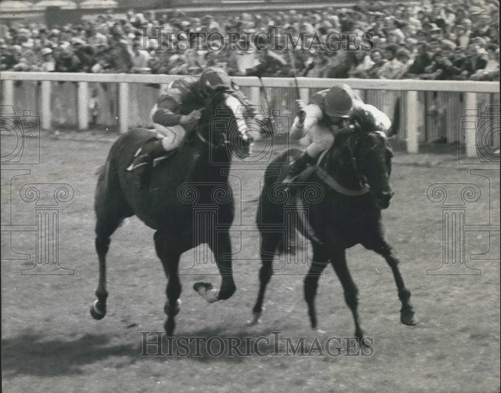 1979 Press Photo Steve Cauthen, Joleg, B Raymond, Man of Vision, Kempton- Historic Images