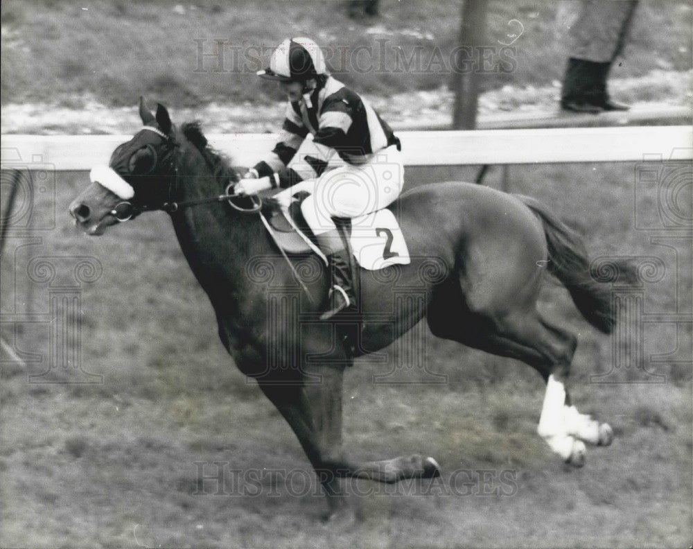 1977 Press Photo Angela Rippon,the BBC,woman newreader in horse race - KSB07191- Historic Images