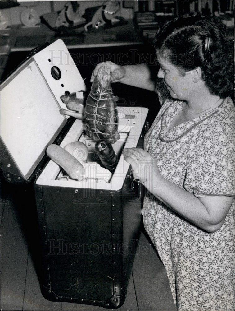 1953 Press Photo Nuremberg Exposition, Electric Suit Case, Germany - KSB17097- Historic Images