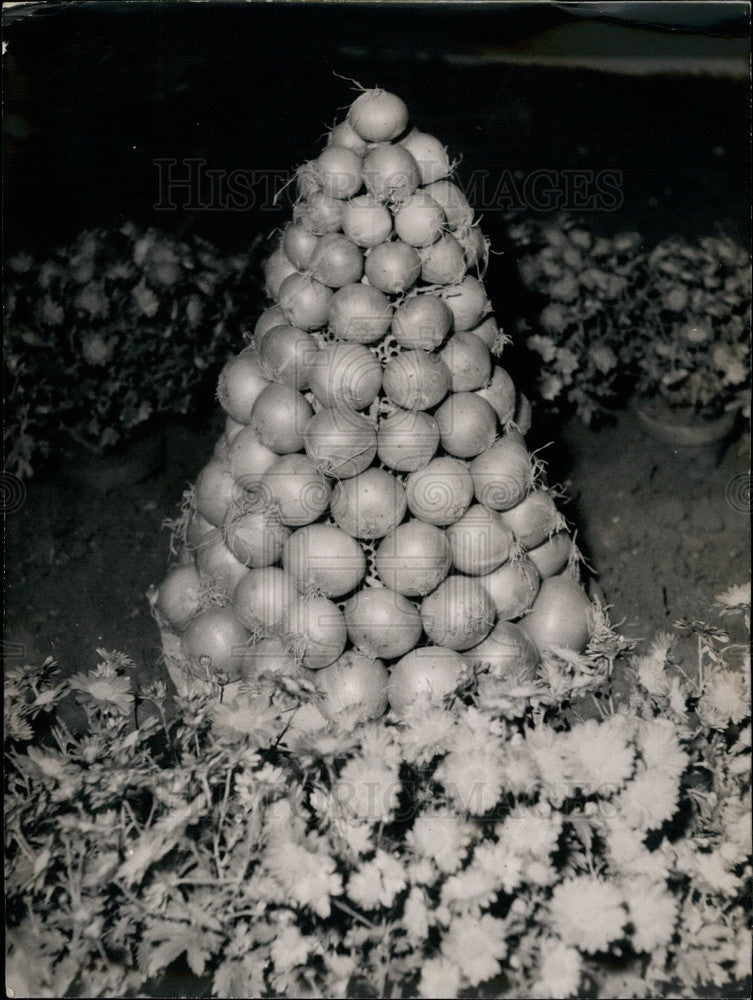 Load image into Gallery viewer, Press Photo An onion tower at the Flower and Fruit show in France - KSB17899
