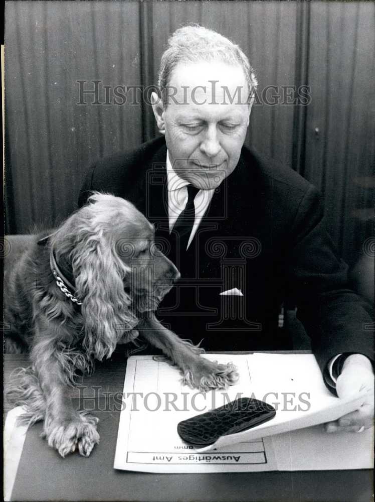 1966 Press Photo &quot;Diplomat&quot; Cockerspaniel Pummy. - KSB23063- Historic Images