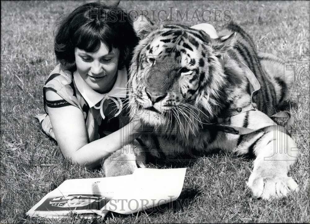 1968 Press Photo A young woman and a tiger - KSB28453