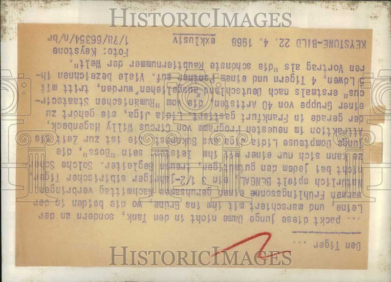 Load image into Gallery viewer, 1968 Press Photo A young woman and a tiger - KSB28453
