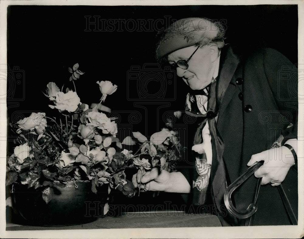 1952 Press Photo Autumn Show Of The National Rose Society - KSB29825