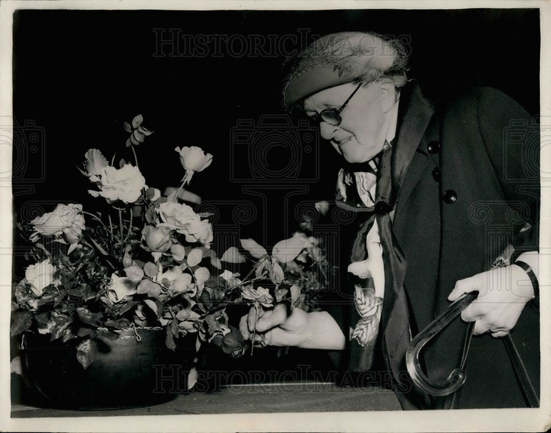 Load image into Gallery viewer, 1952 Press Photo Autumn Show Of The National Rose Society - KSB29825
