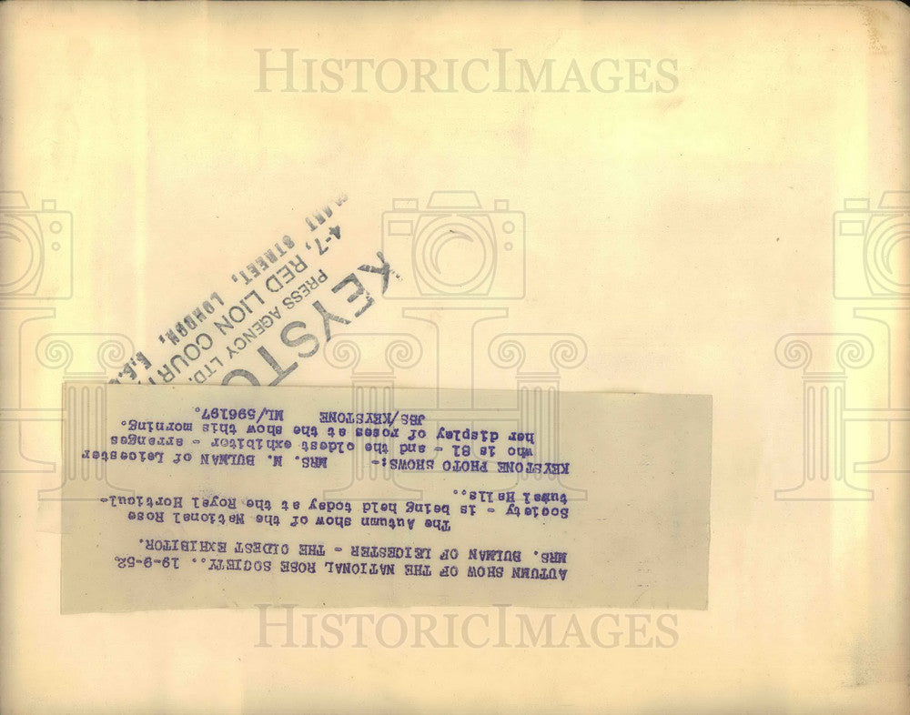 1952 Press Photo Autumn Show Of The National Rose Society - KSB29825