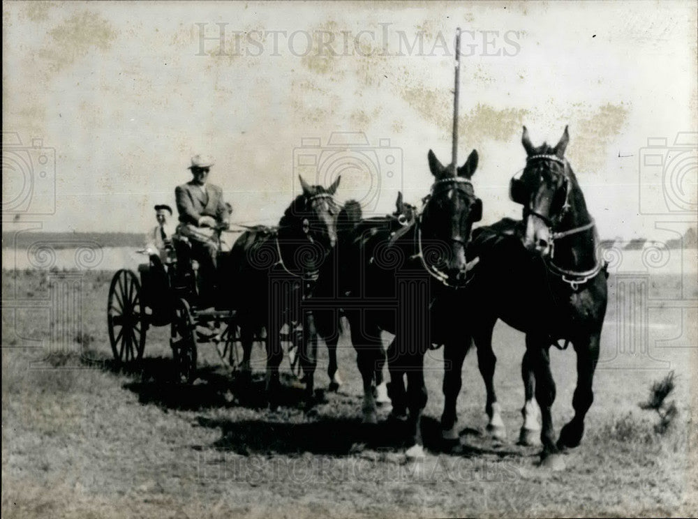 1956 Press Photo Owner driving his team of horses in Germany - KSB29867- Historic Images