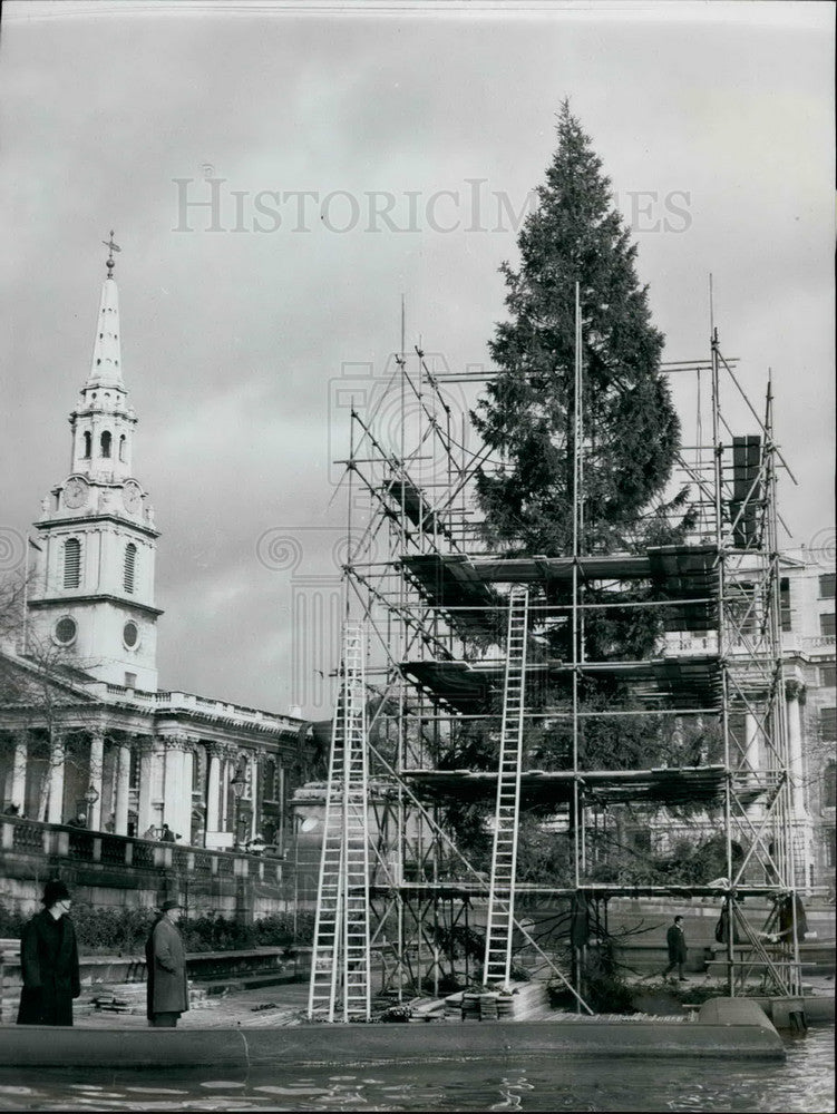 1962 Press Photo Trafalgar Square,London,Annual Norwegian Christmas Tree- Historic Images