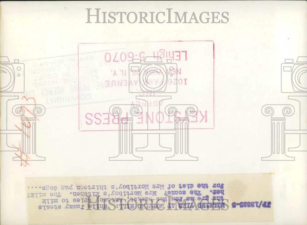 Press Photo Mortiboy's Farm Notting Hill Goat Milking - KSB57365