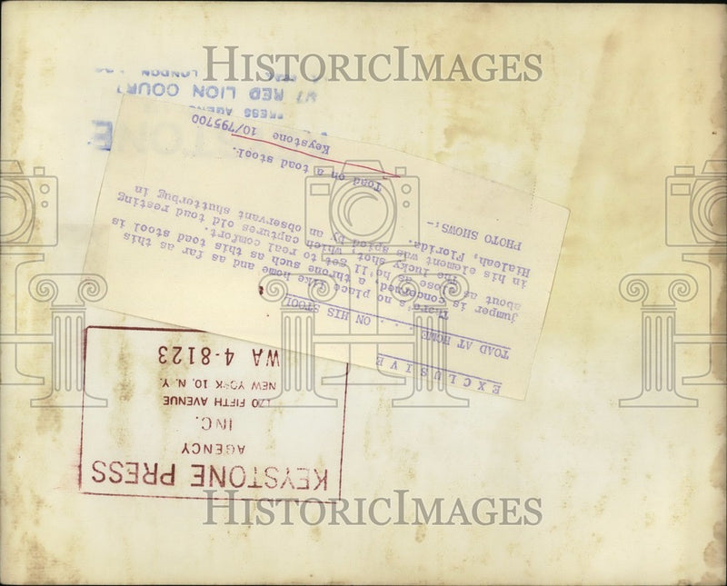Load image into Gallery viewer, Press Photo A toad on a toadstool - KSB64387
