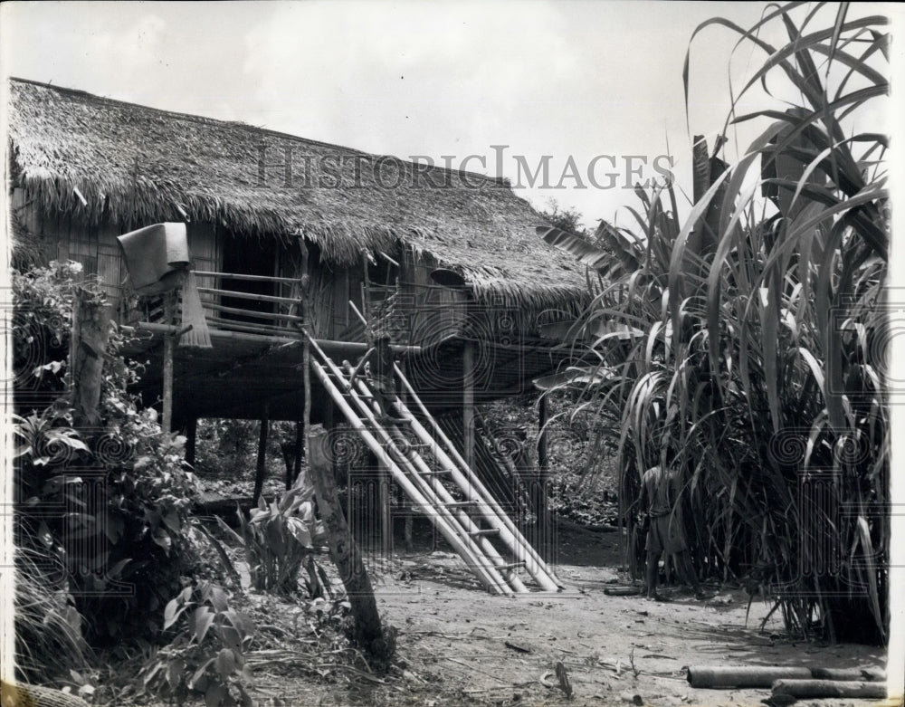 Press Photo Alaya&#39;s Aborigines, Hut On Stilts- Historic Images