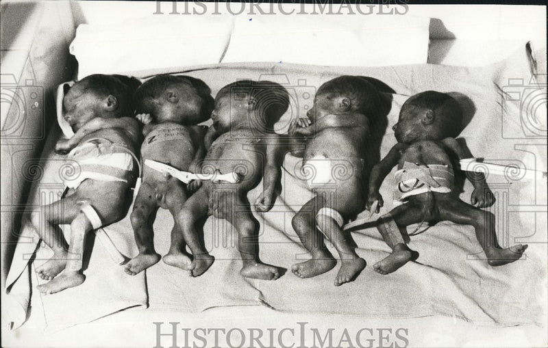 Load image into Gallery viewer, Press Photo Five Infants Die Shortly After Their Birth - KSG05461
