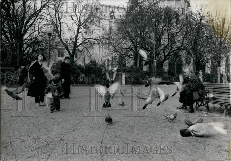 Load image into Gallery viewer, 1971 Press Photo Pigeons Beg Park Goers for Food Jean XXIII Square

