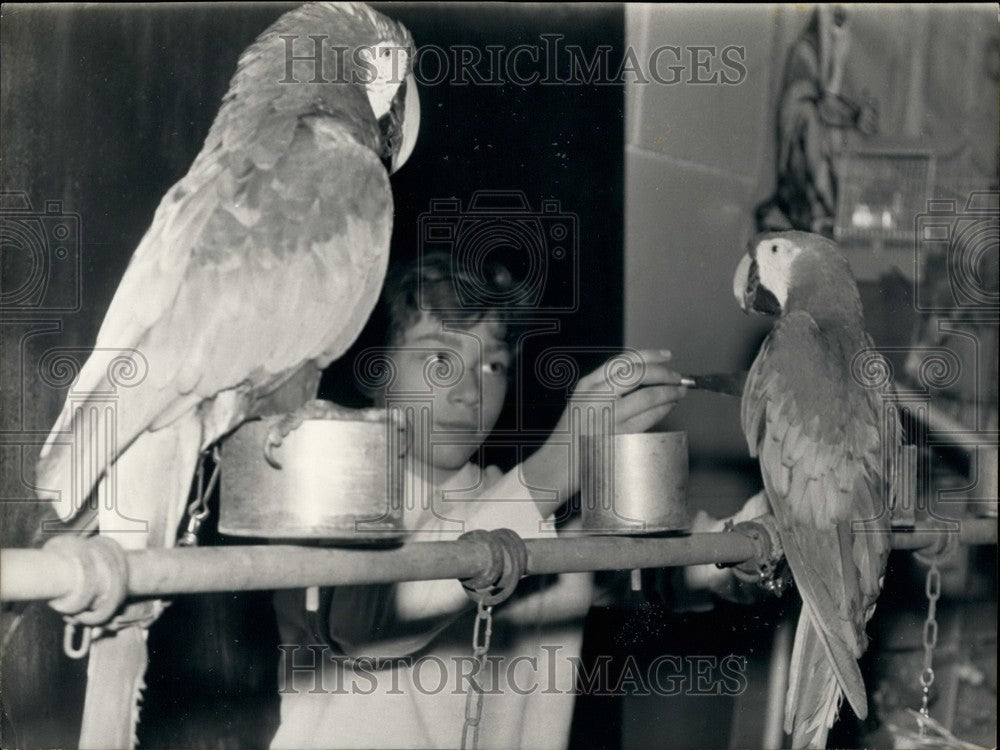 1972 Press Photo Mrs. Pierre Messmer's Paris Bird Fair Parakeets Fed by Boy