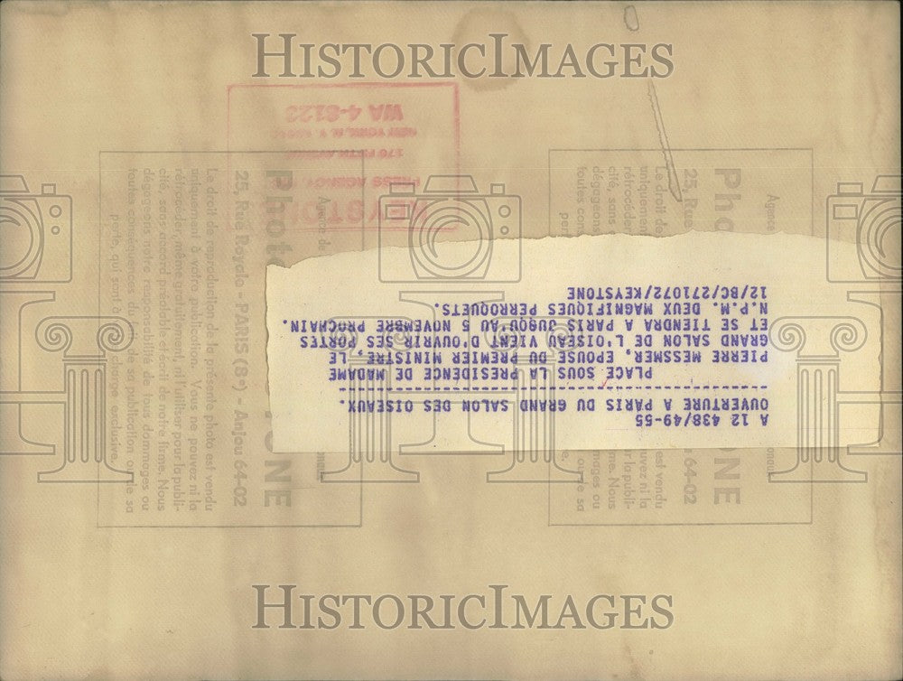 1972 Press Photo Mrs. Pierre Messmer's Paris Bird Fair Parakeets Fed by Boy