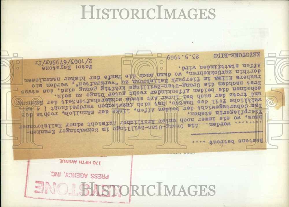 1969 Press Photo Orangutan Twins Born in Hellabrunn Zoo. Hospital.