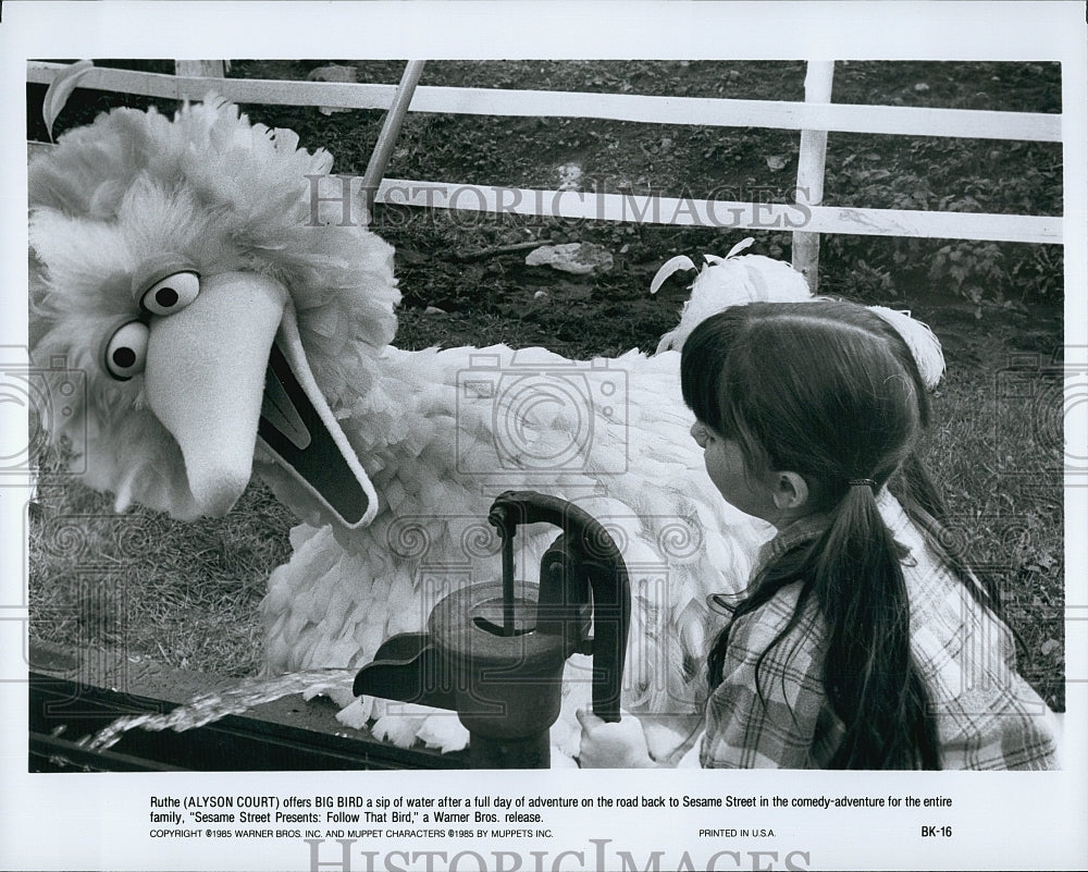 1985 Press Photo Alyson Court Actress Big Bird Follow That Bird Movie Scene Film- Historic Images