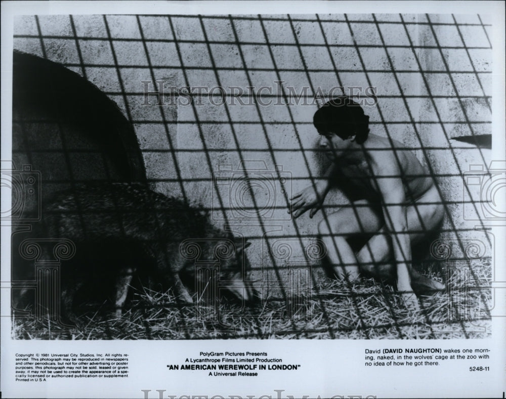 1981 Press Photo Actor David Naughton in &quot;An American Werewolf in London&quot;- Historic Images