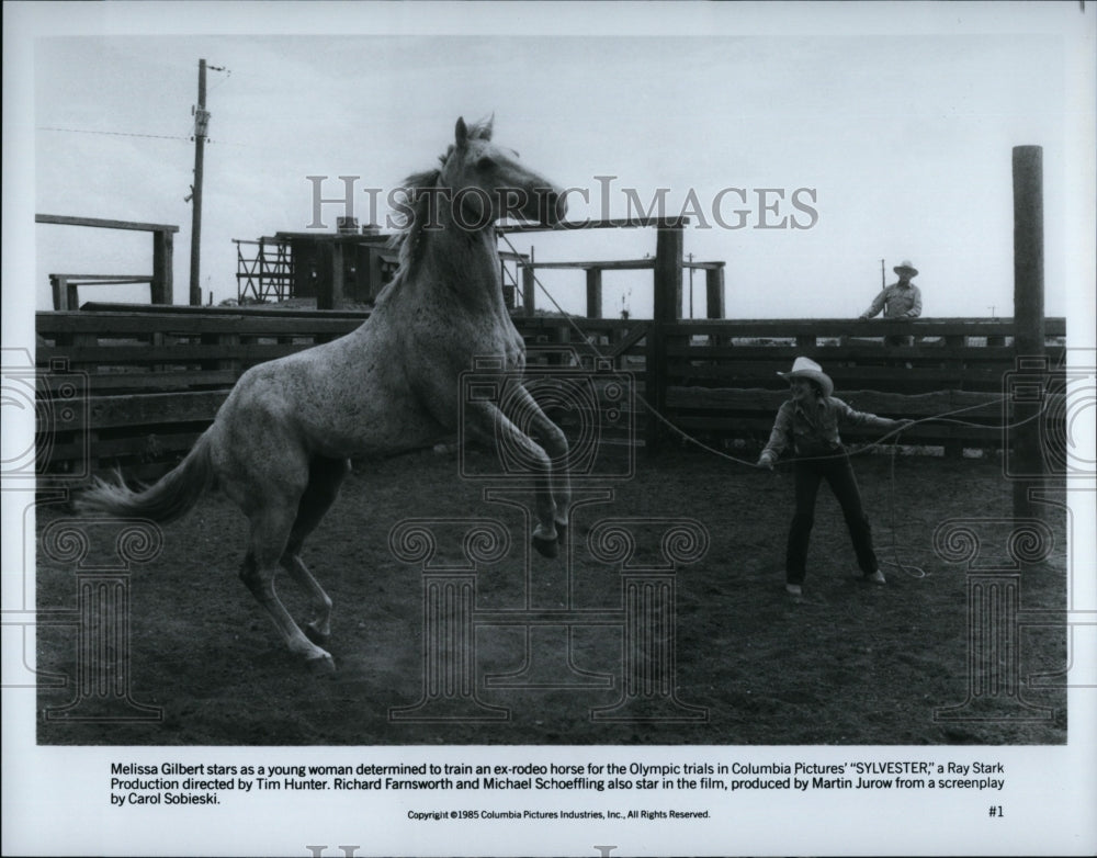 1985 Press Photo Melissa Gilbert in &quot;Sylvester&quot;- Historic Images