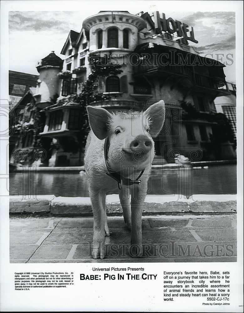 1998 Press Photo  &quot;Babe: Pig in the City&quot;  from Universal- Historic Images