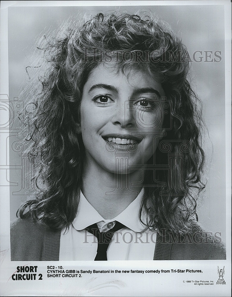 1988 Press Photo Cynthia Gibb American Actress Fantasy Comedy Short Circut 2- Historic Images