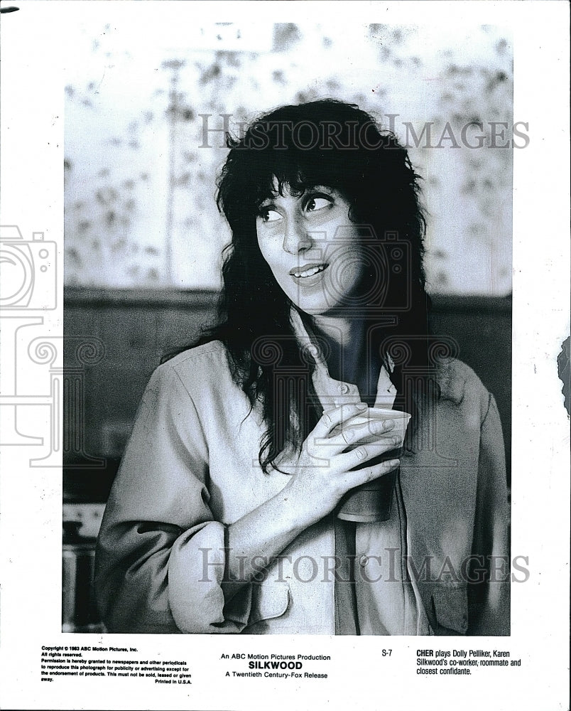 1983 Press Photo Actress Cher As Dolly In &quot;Silkwood&quot;- Historic Images