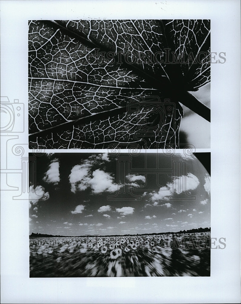 1988 Press Photo &quot;Seasons&quot; a Nature Photography Omnimax Film- Historic Images