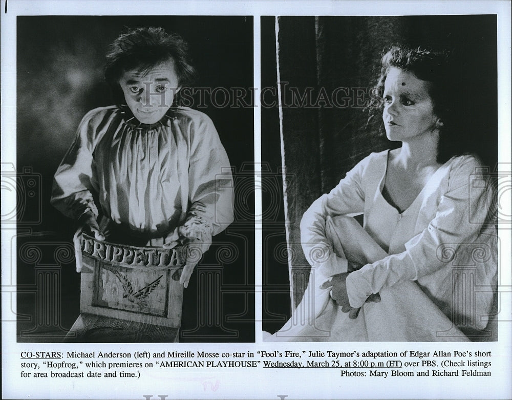 1993 Press Photo Michael Anderson, Mireille Mosse &quot;Fool&#39;s Fire&quot;- Historic Images