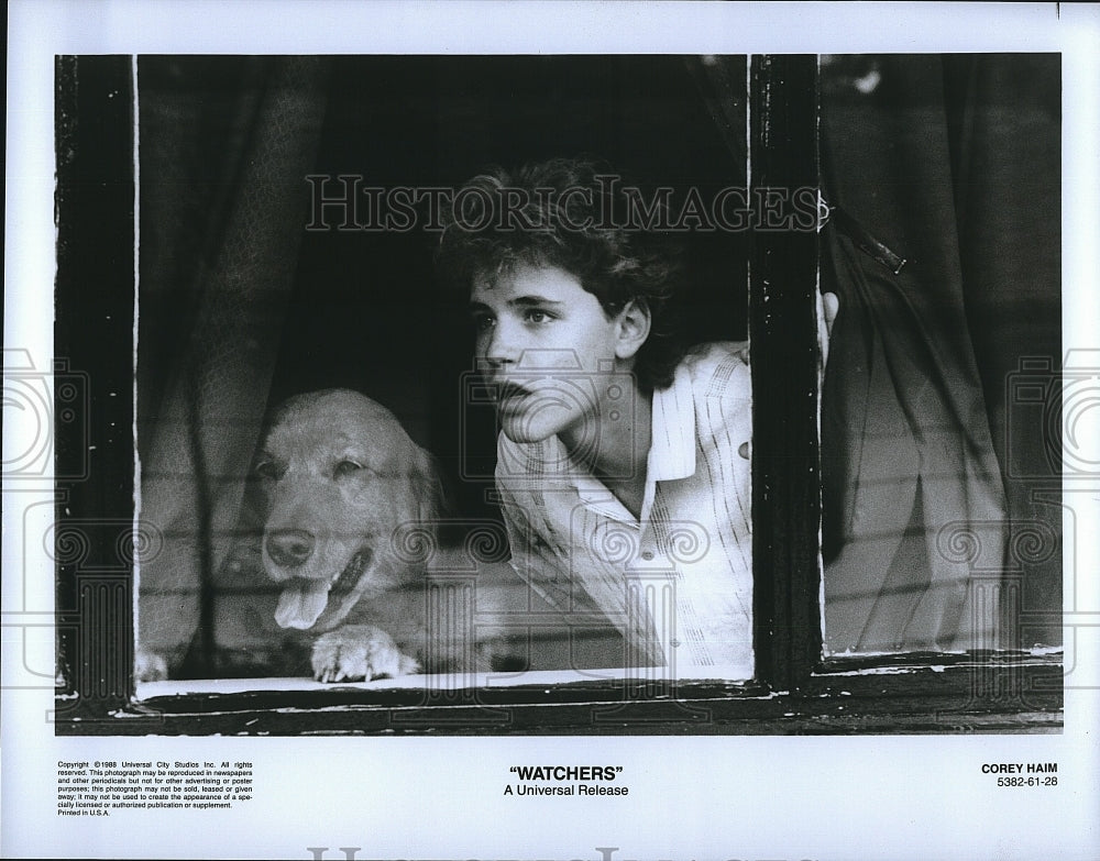 1988 Press Photo Corey Haim &quot;Watchers&quot;- Historic Images