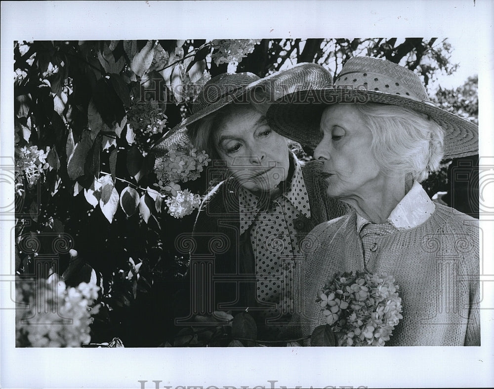 1987 Press Photo Lillian Gish &amp; Bette Davis in &quot;The Whales of August&quot;- Historic Images