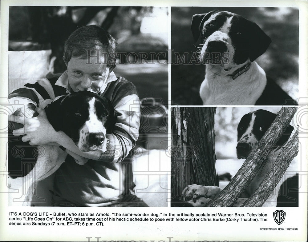 1989 Press Photo Chris Burke, Bullet the dog "Life Goes On"- Historic Images