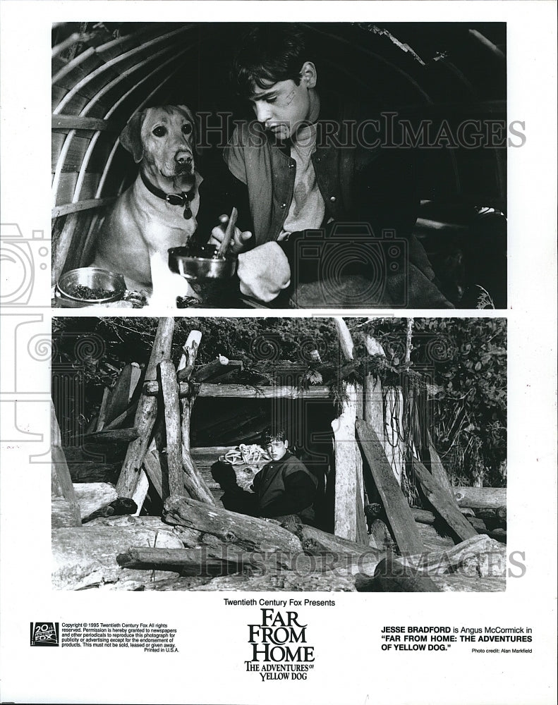 1995 Press Photo Jesse Bradford stars in &quot;Far From Home - The Adventures - Historic Images