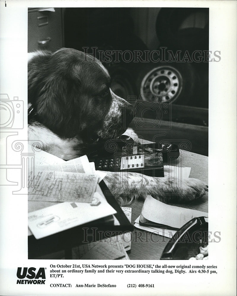 1990 Press Photo The talking Dog Digby on &quot;Dog House&quot;- Historic Images