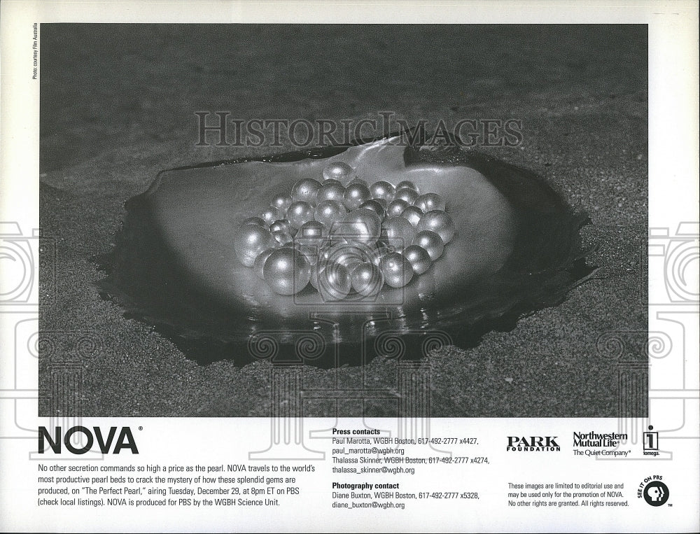 Press Photo &quot;The Perfect Pearl&quot; on &quot;Nova&quot;- Historic Images