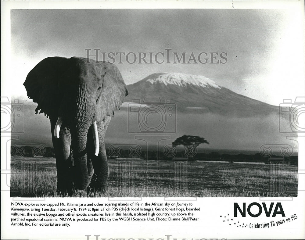 Press Photo Nova Ice Capped Mt. Kimimanjaro African sky TV special- Historic Images