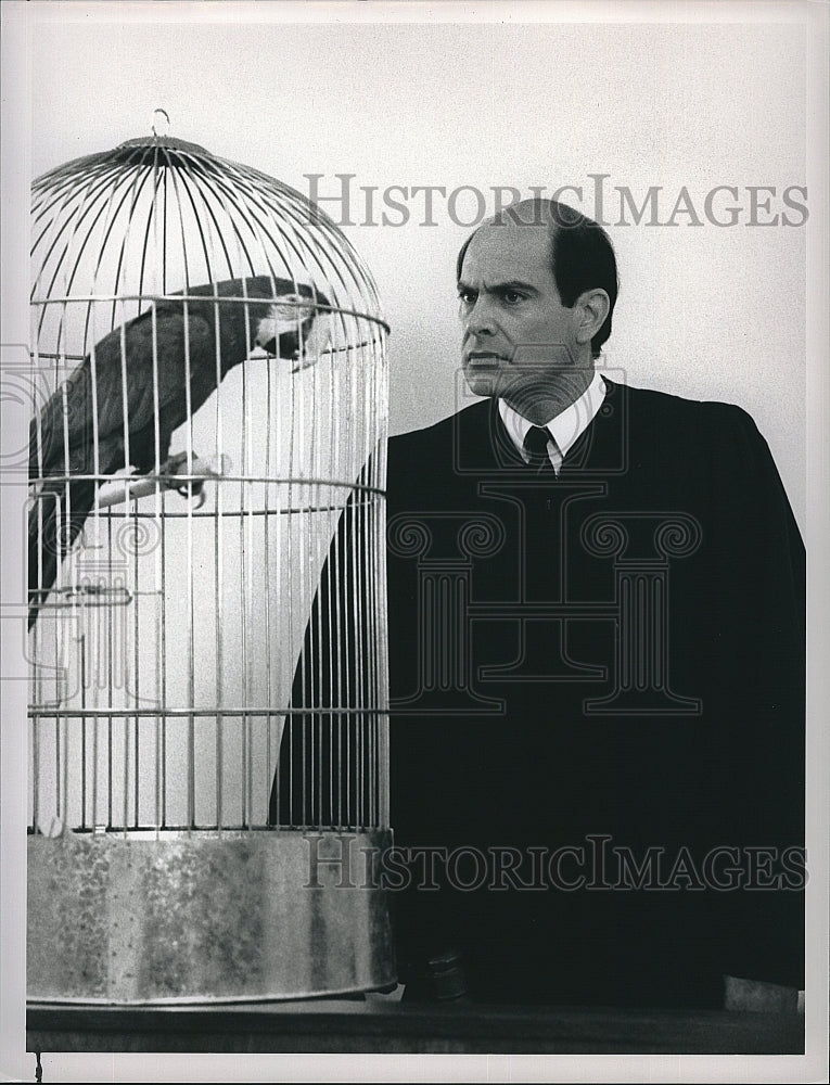 1988 Press Photo Alan Rachins &quot;L. A. Law&quot;- Historic Images