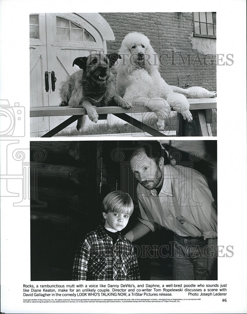 1993 Press Photo  &quot;Look Who&#39;s Talking Now &quot;Tom Ropelski directs D Gallagher- Historic Images