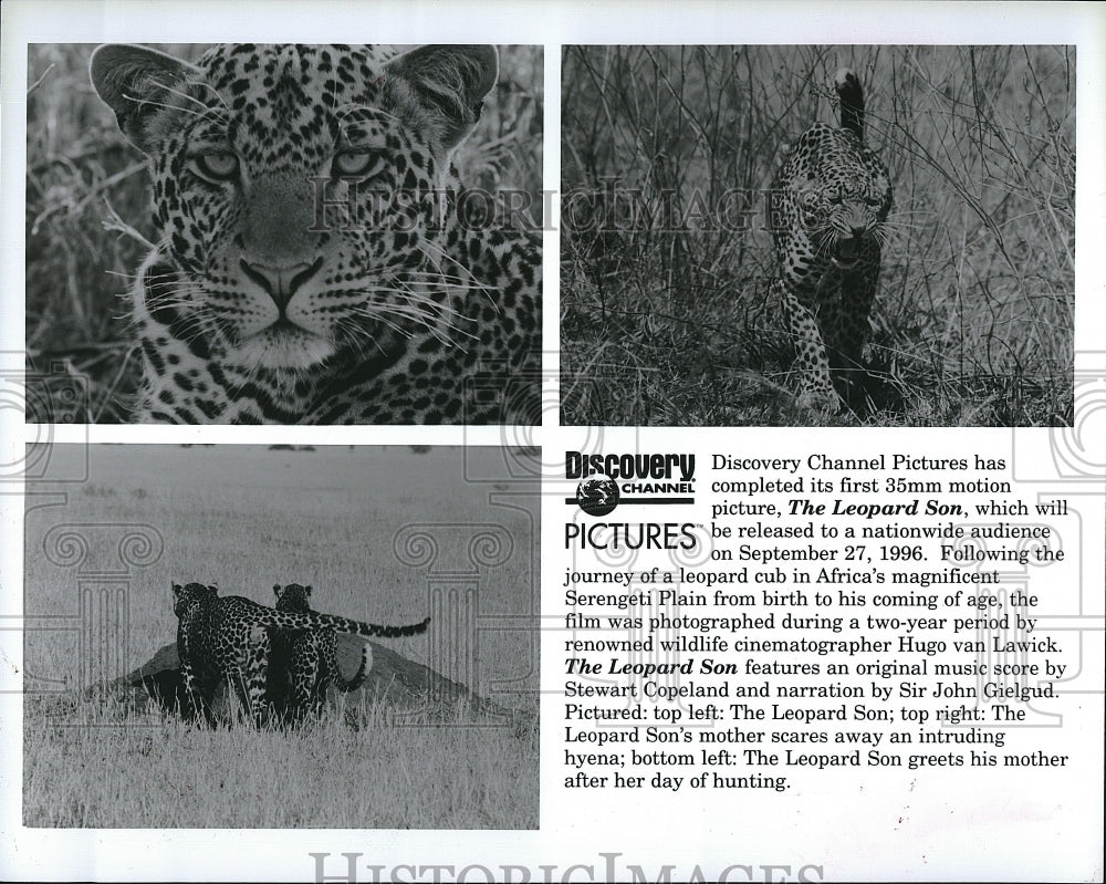 1996 Press Photo Discovery Channel : &quot;The Leopard Son&quot; (TV Show) - Historic Images