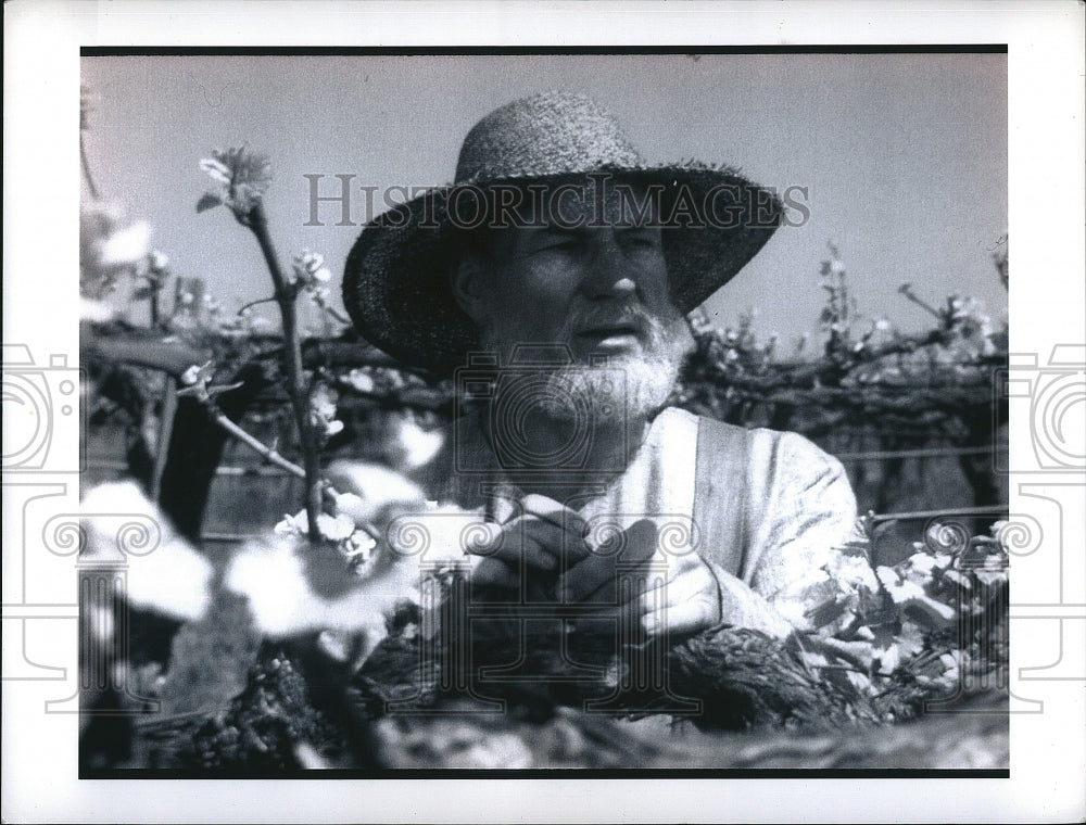 Press Photo Man on TV show in wooded area wearing sunhat- Historic Images