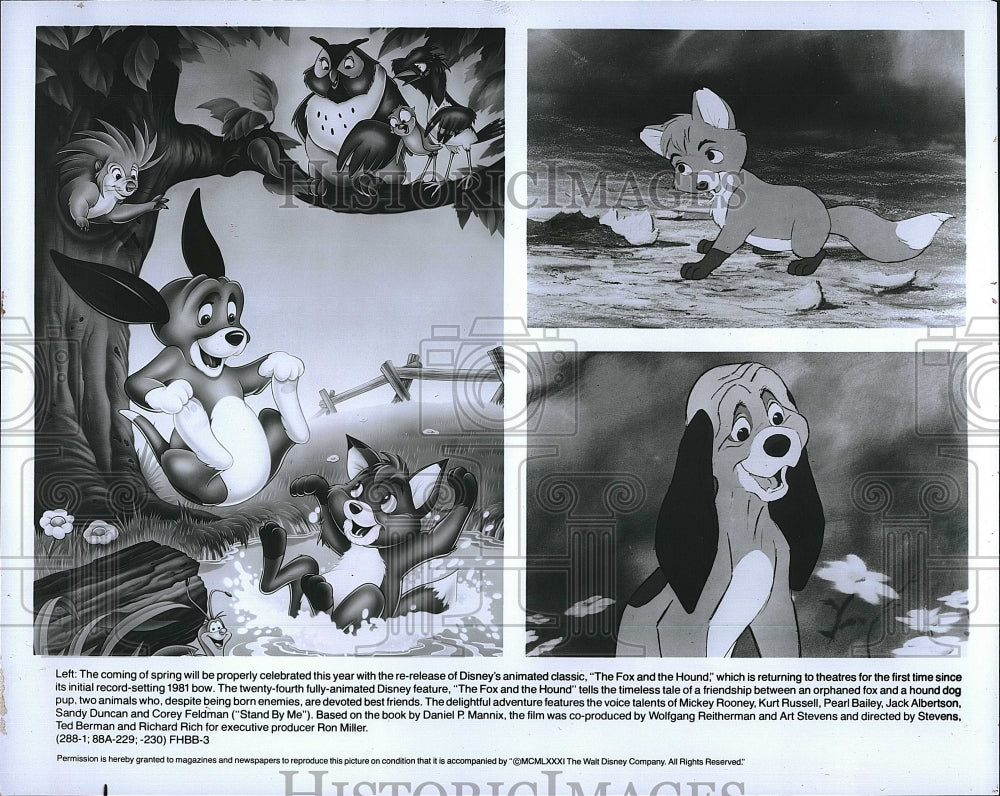 1981 Press Photo &quot;The Fox and the Hound&quot;- Historic Images