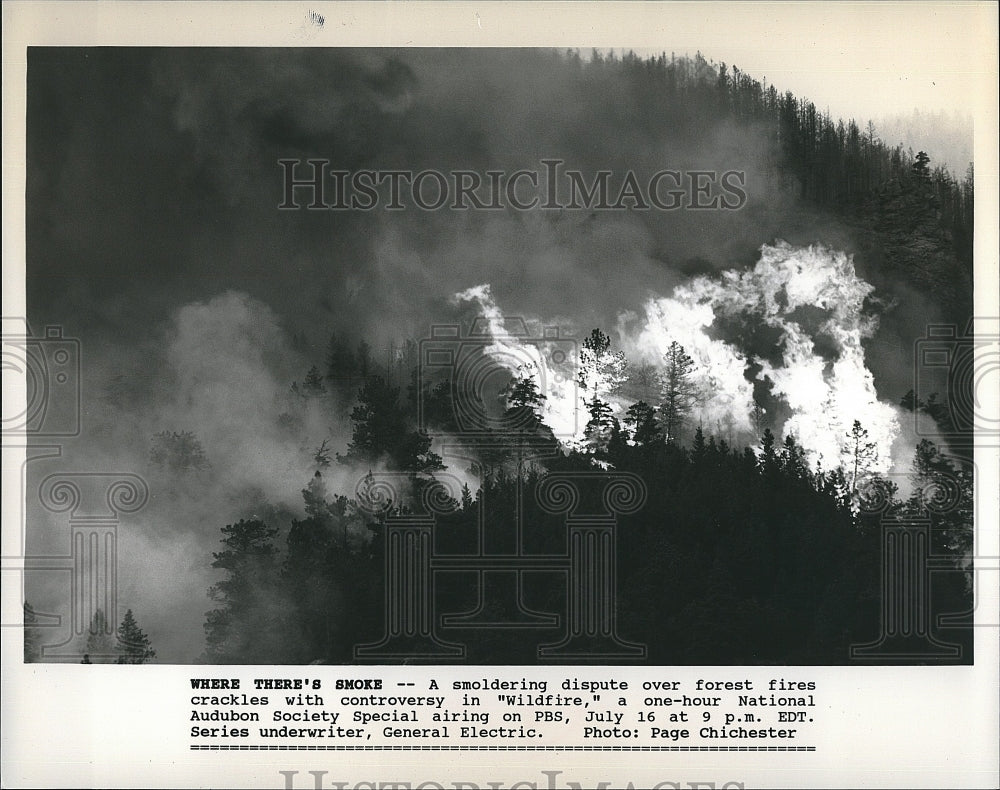 1985 Press Photo &quot;Wildfire&quot; documentary on PBS- Historic Images