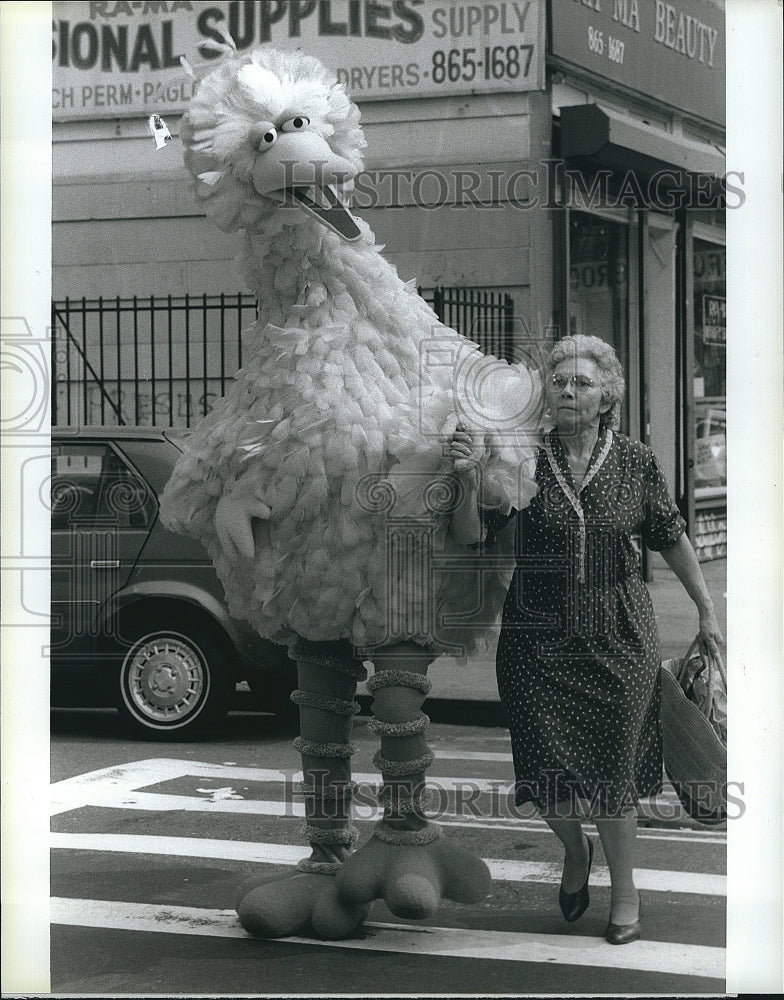 1988 Press Photo Big Bird Crosses The Street- Historic Images